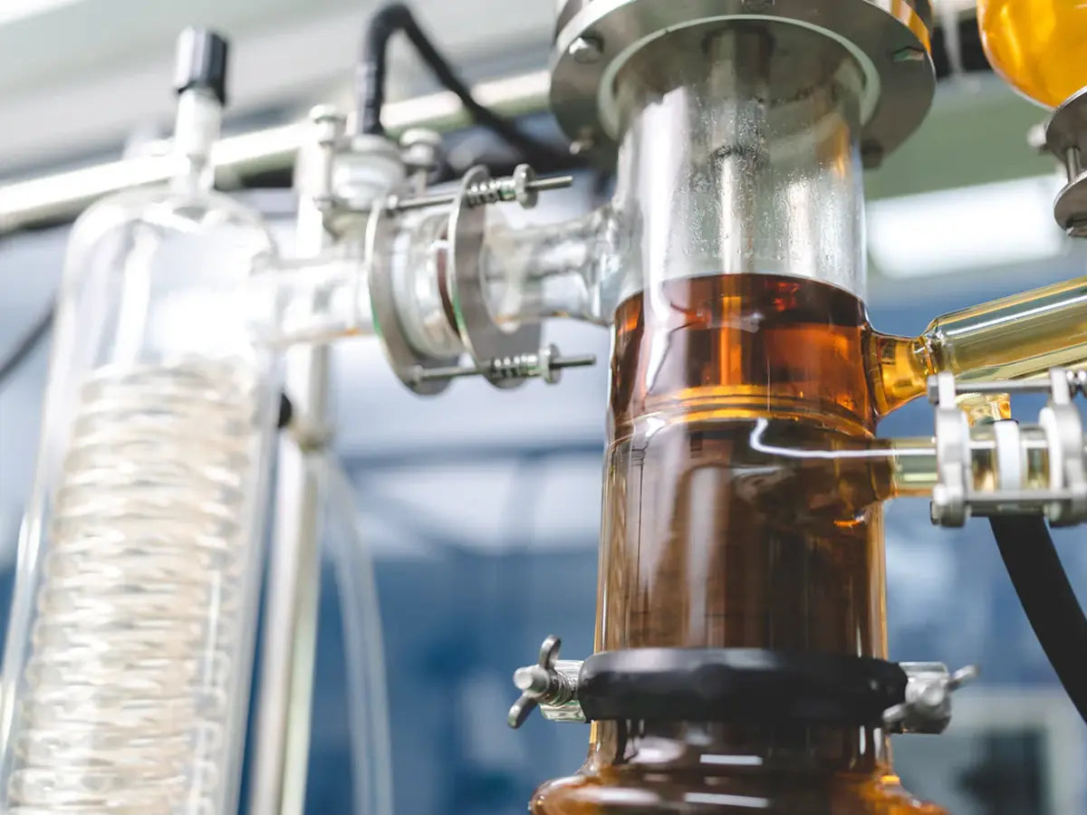 Ensuring-Optimal-Potency-The-Rigorous-Science-of-Mushroom-Extraction The Functional Mushroom Company