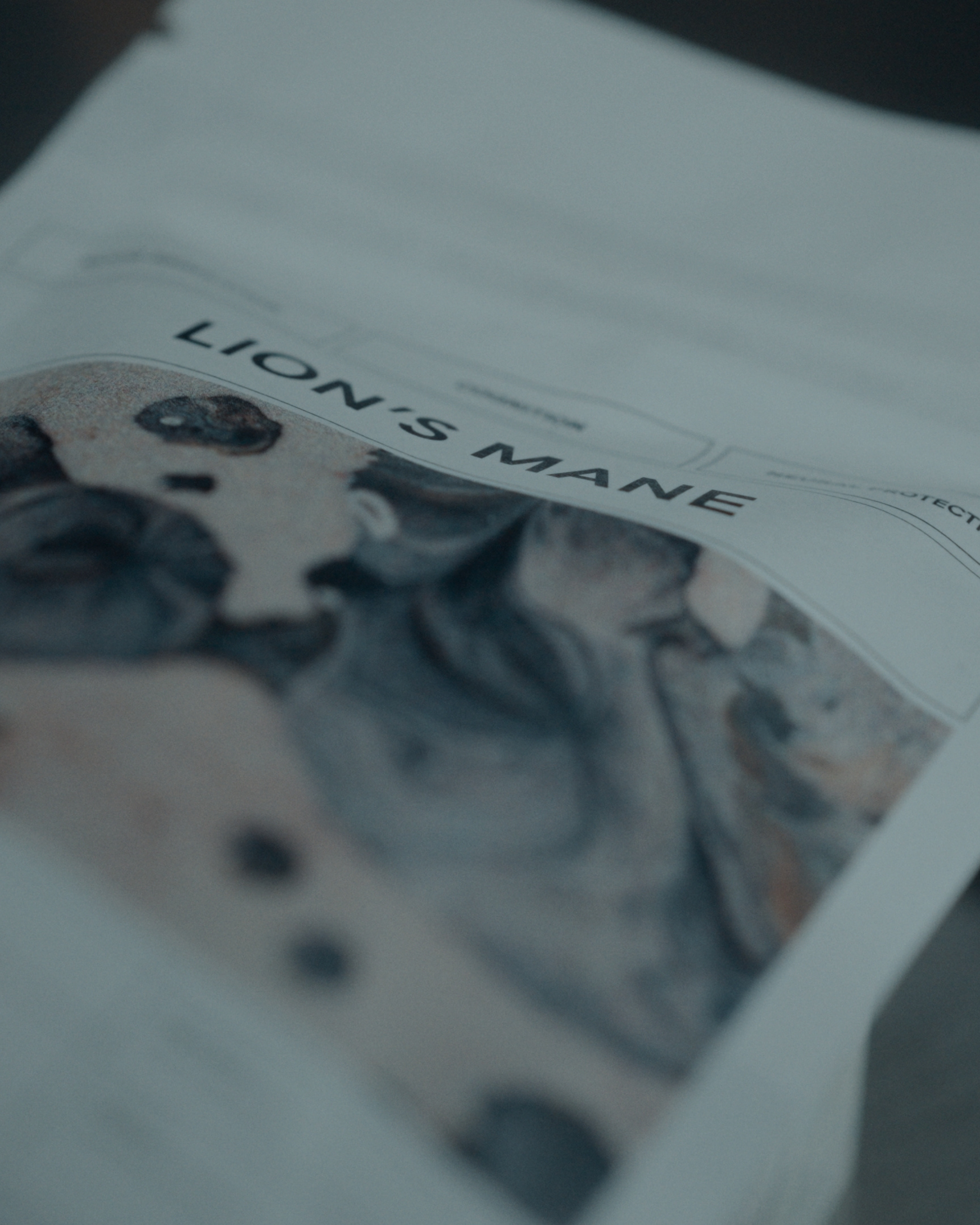 Organic Lion's Mane Extract | Mood - Cognition - Neuroprotection