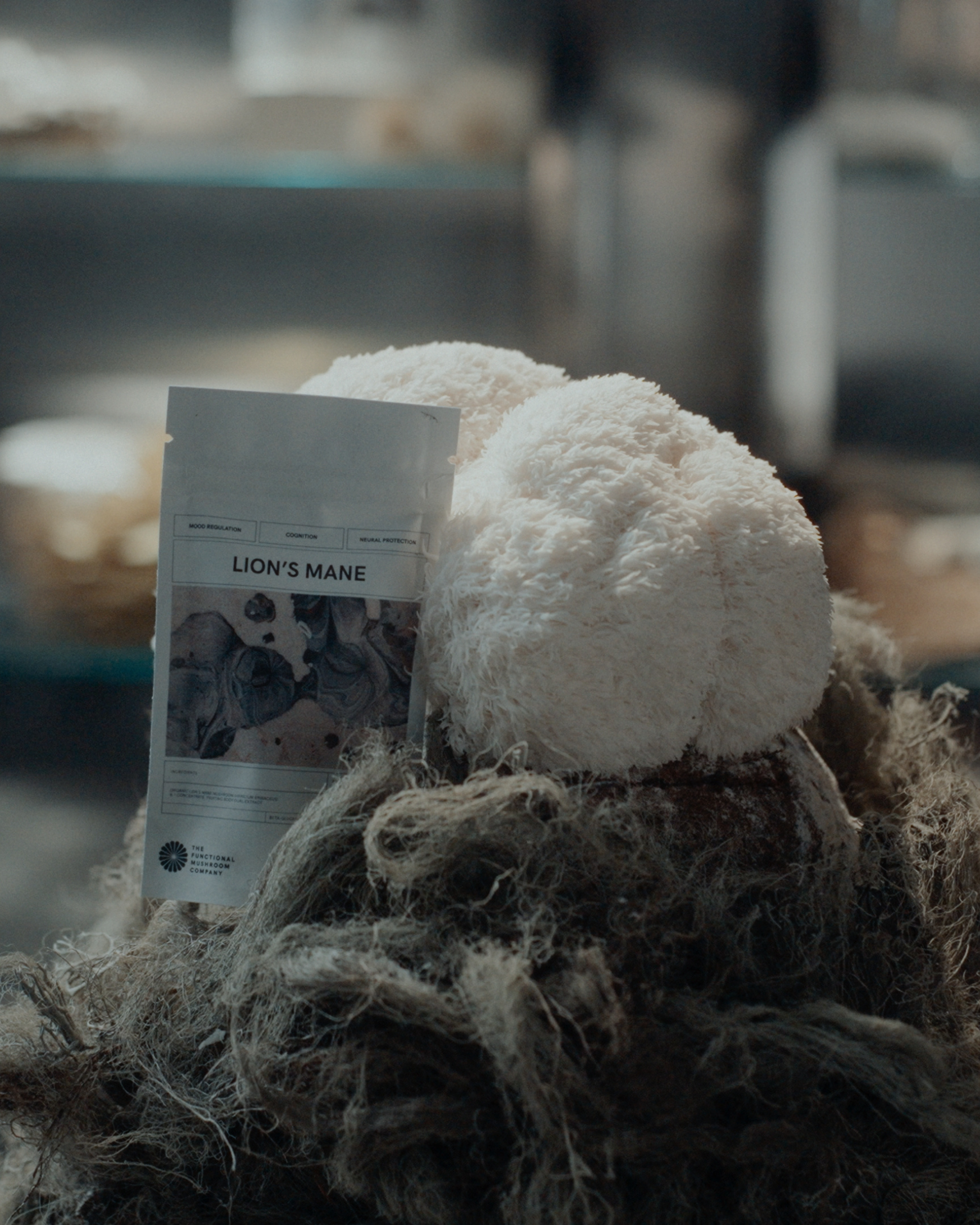 Organic Lion's Mane Extract | Mood - Cognition - Neuroprotection