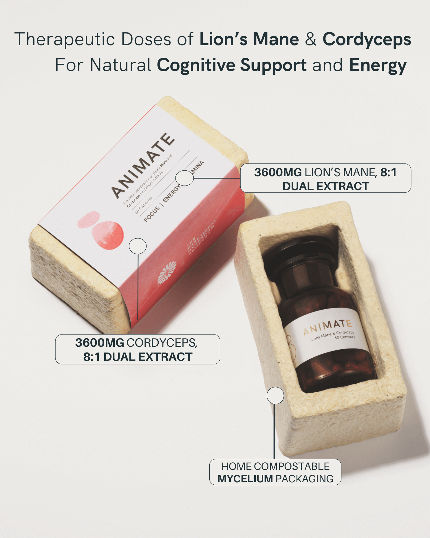 therapeutic lions mane and cordyceps