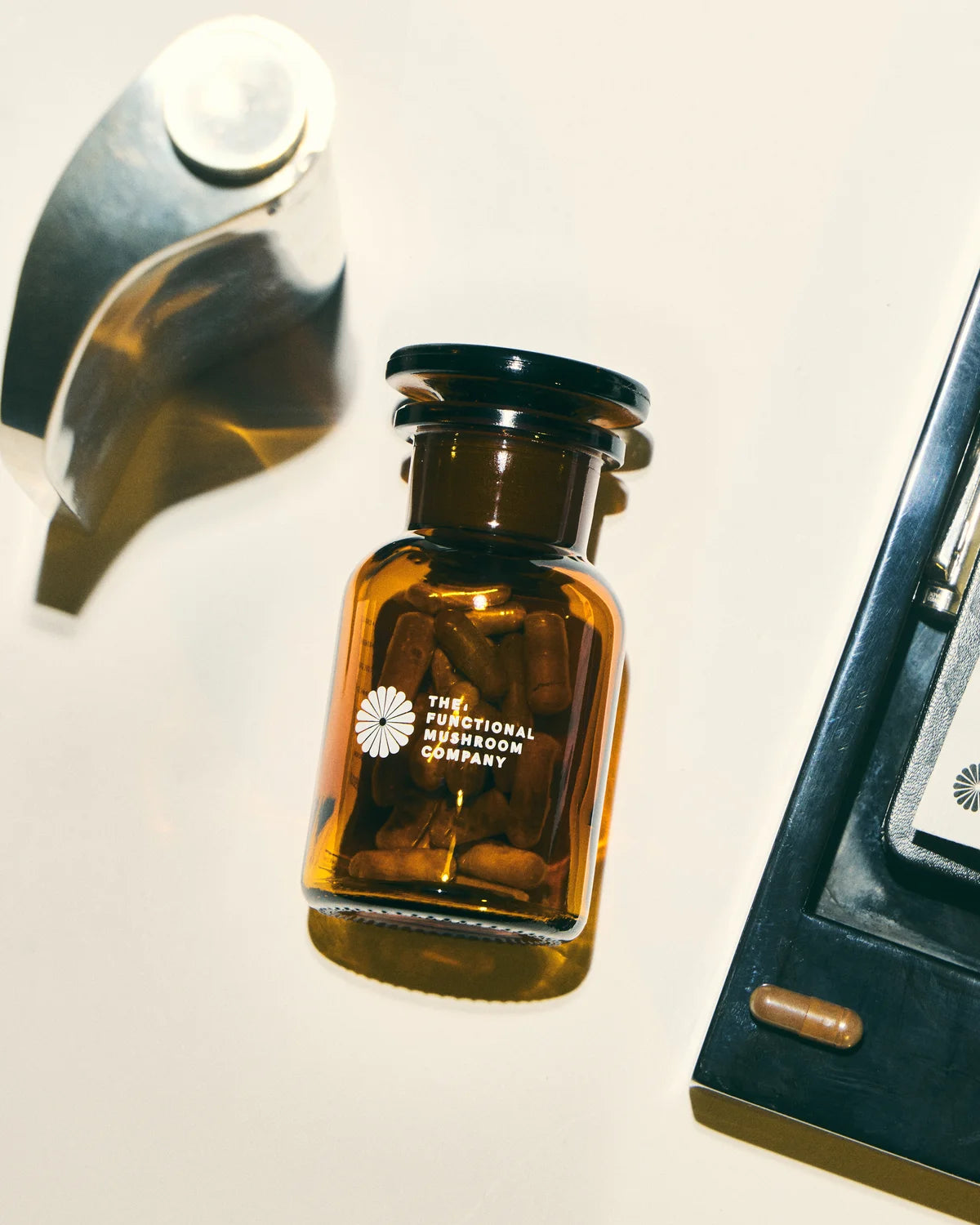 Organic Maitake Mushroom Extract | Metabolic Regulation • Hormonal Function