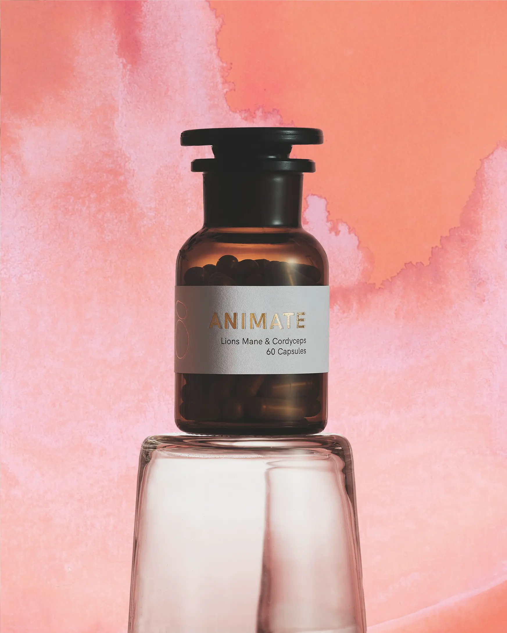 ANIMATE - Mental Focus & Physical Stamina The Functional Mushroom Company