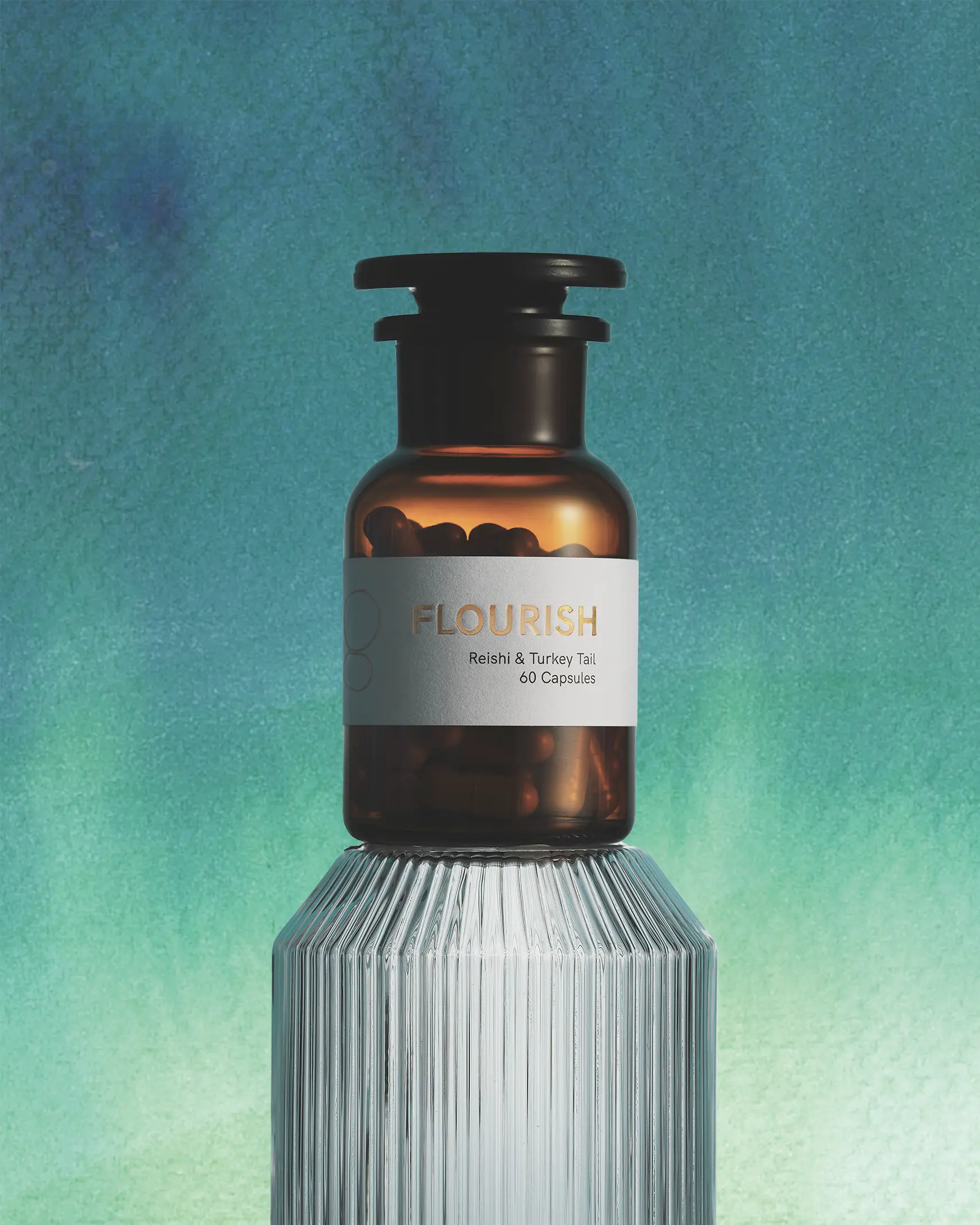 FLOURISH - Immunity & Recovery The Functional Mushroom Company