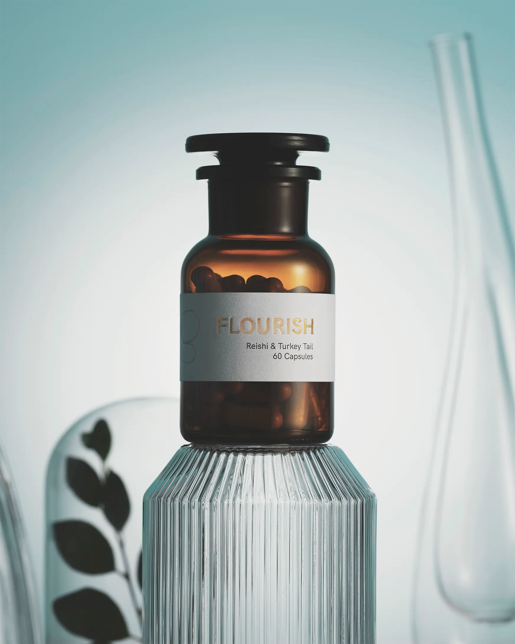 FLOURISH - Immunity & Recovery The Functional Mushroom Company