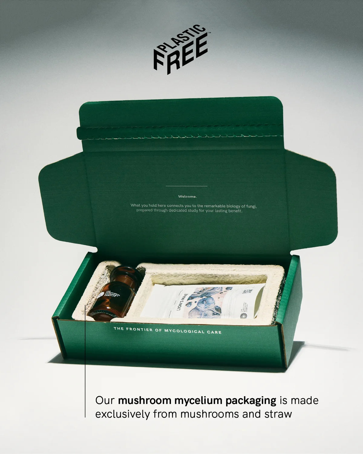 Animate | Focus • Energy • Mood