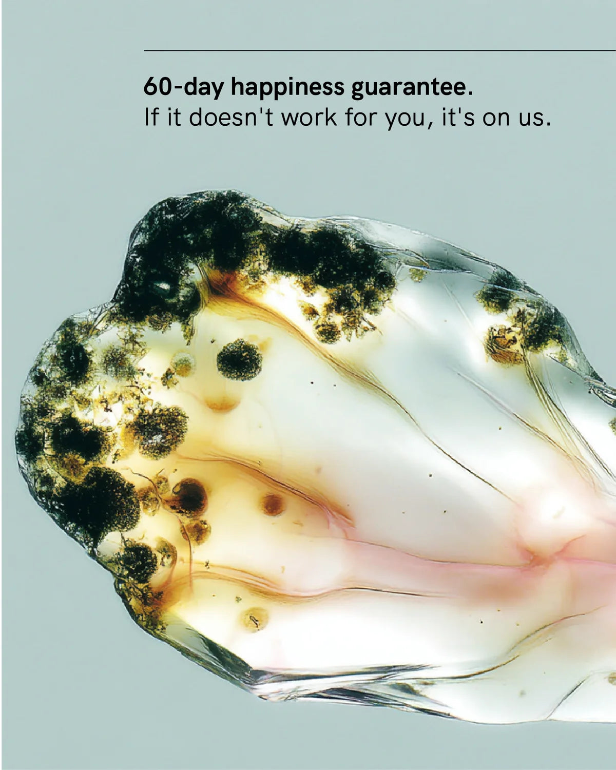 Animate | Focus • Energy • Mood