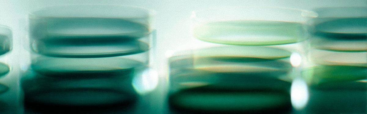 Laboratory glassware in green light — an editorial illustration of scientific research