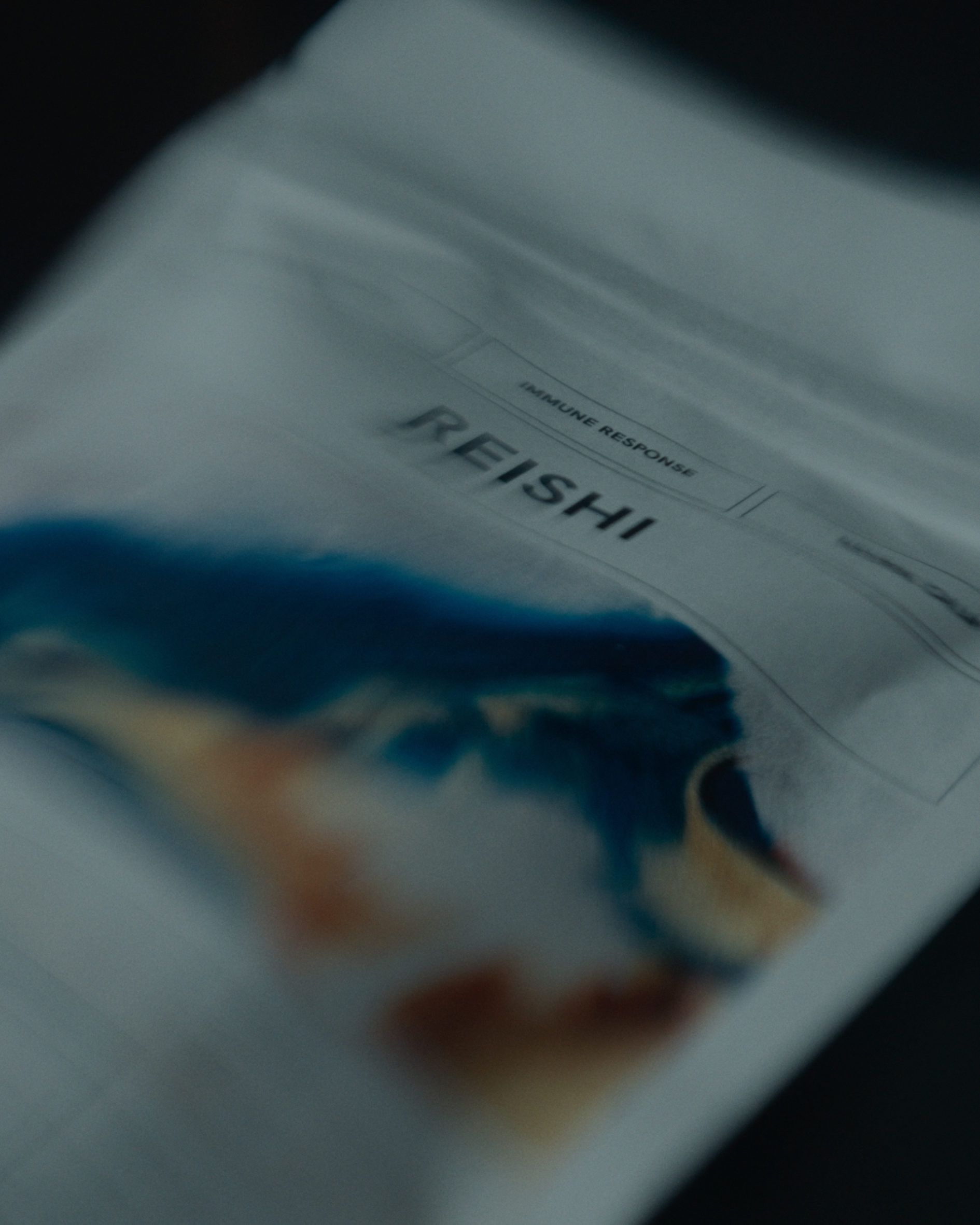 Organic Reishi Extract | Immunity • Nervous System Support