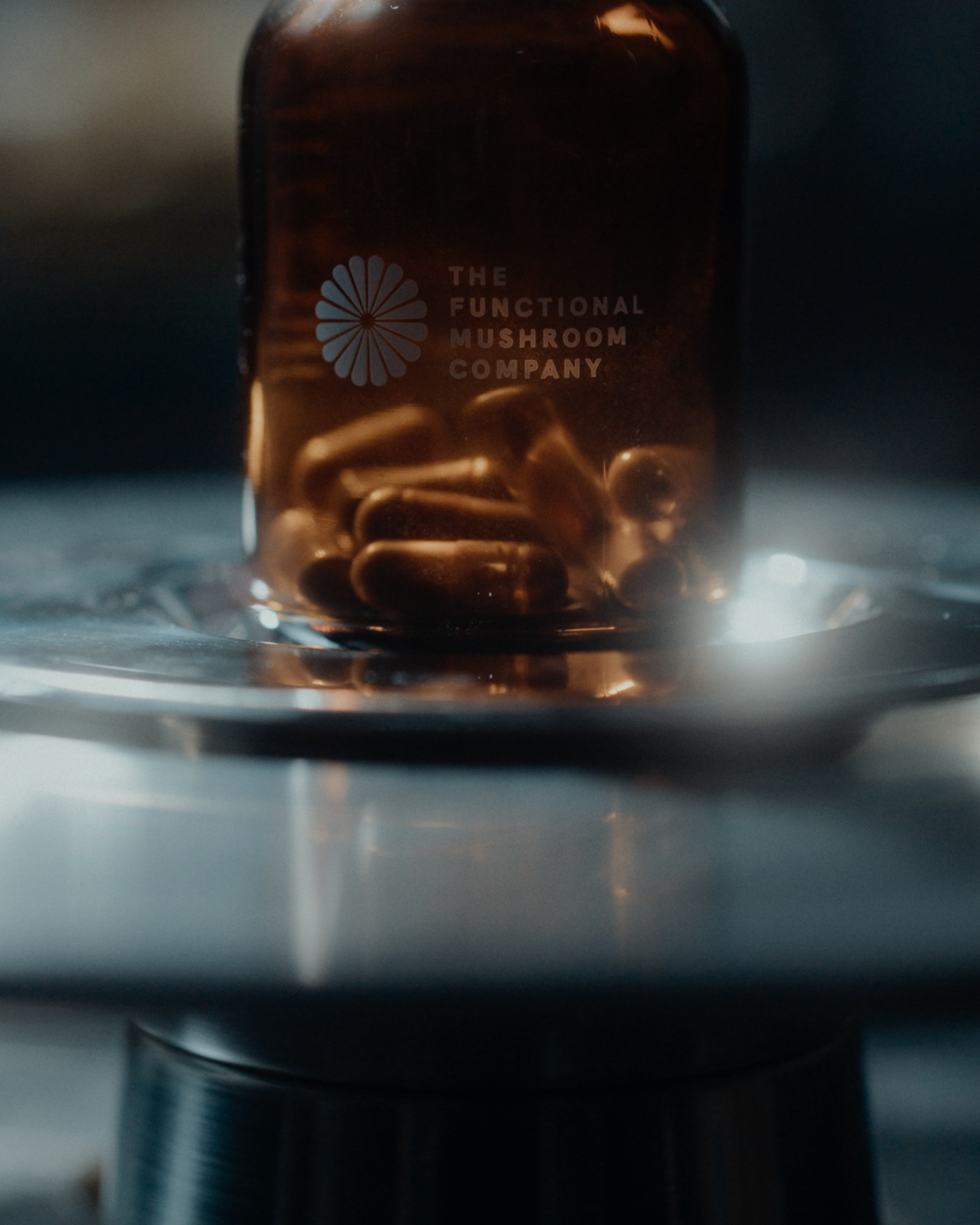 Organic Reishi Extract | Immunity • Nervous System Support