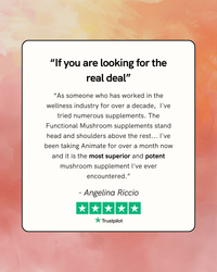 animate mushroom supplement testimonial