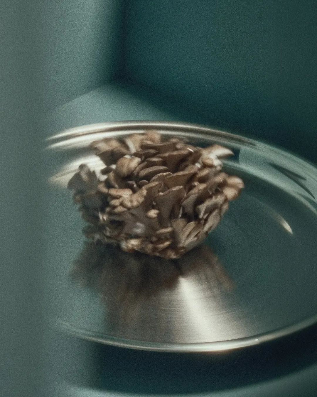 Flourish | Immunity • Sleep • Metabolism