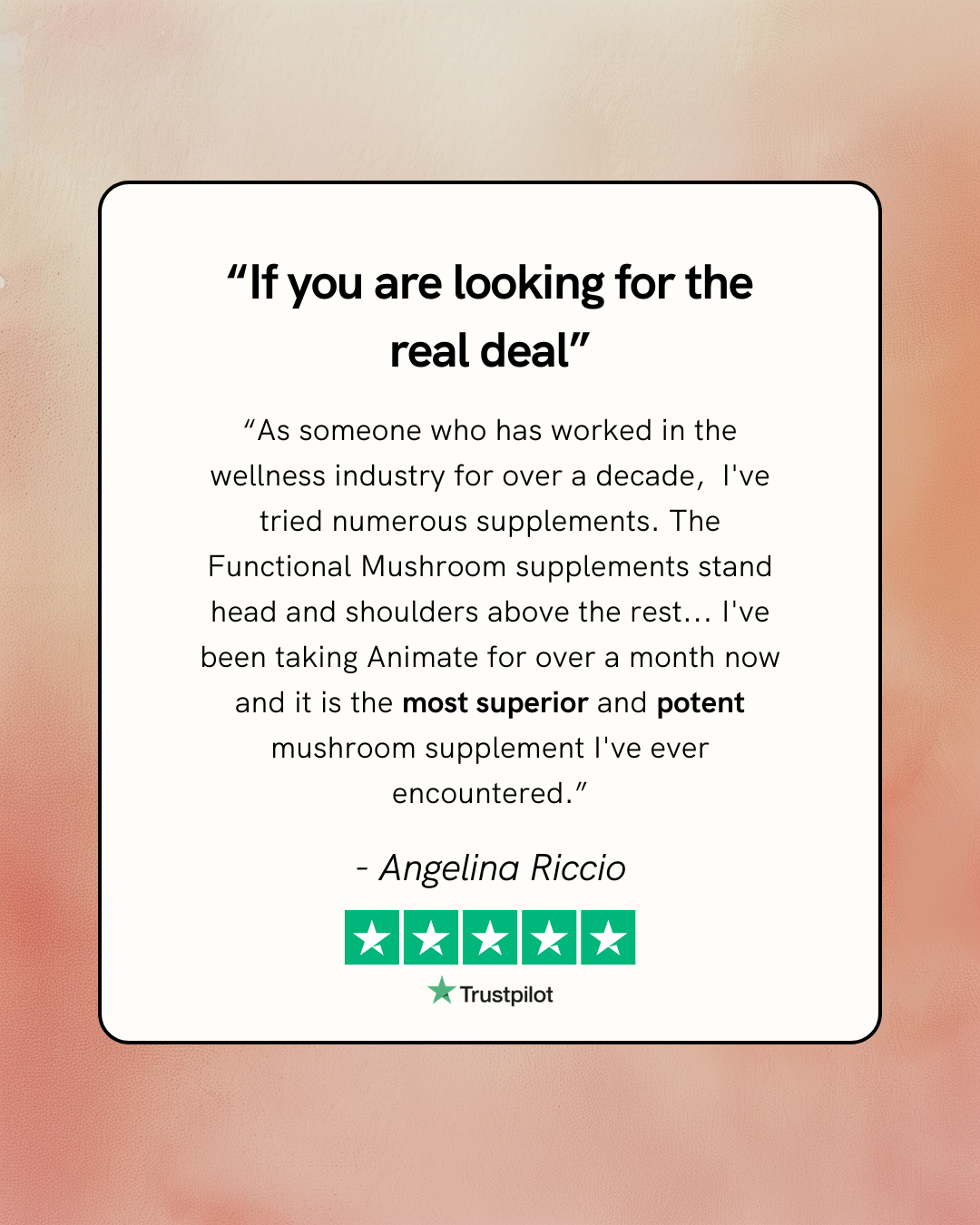 Organic Reishi Mushroom Extract | Immunity • Nervous System Support