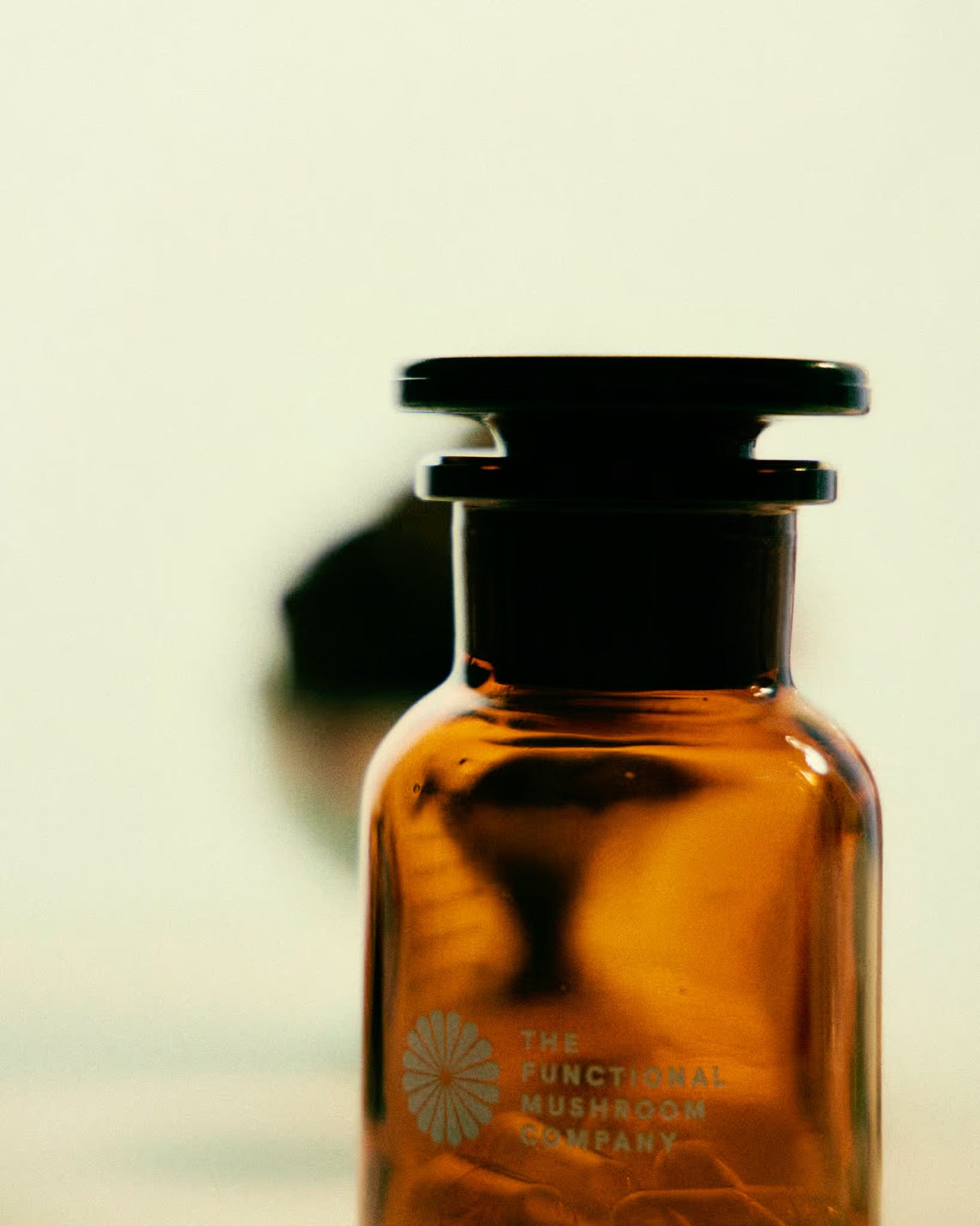 Organic Reishi Mushroom Extract | Immunity • Nervous System Support