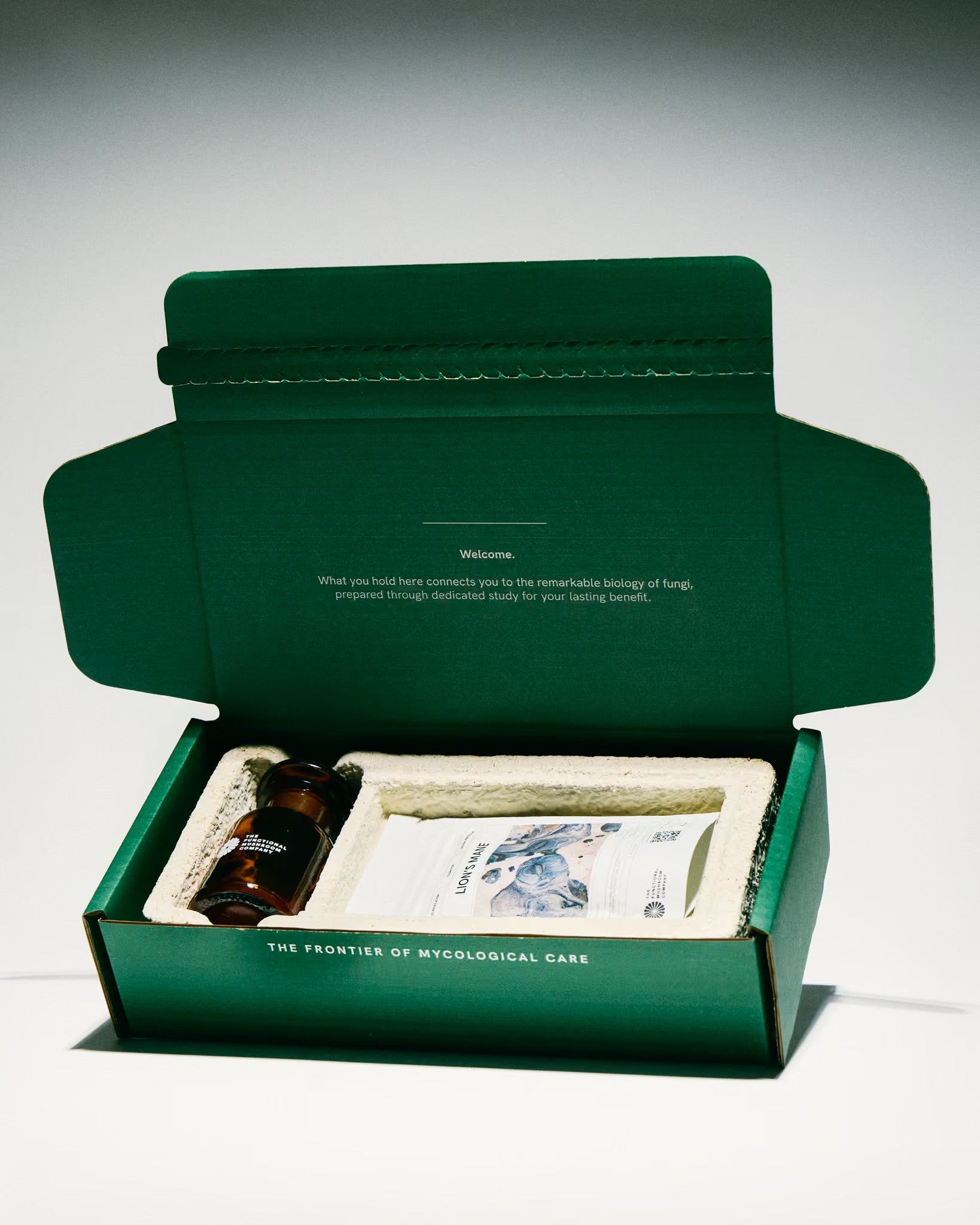 Organic Reishi Mushroom Extract | Immunity • Nervous System Support