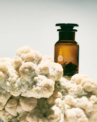 Brown bottle with a label on a white coral-like surface