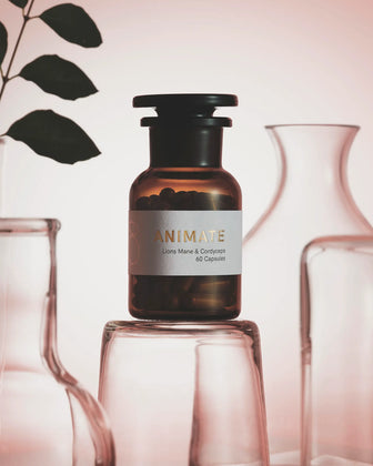 ANIMATE - Mental Focus & Physical Stamina The Functional Mushroom Company