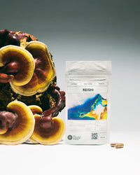 Reishi mushrooms and a package labeled 'Reishi' on a gradient background