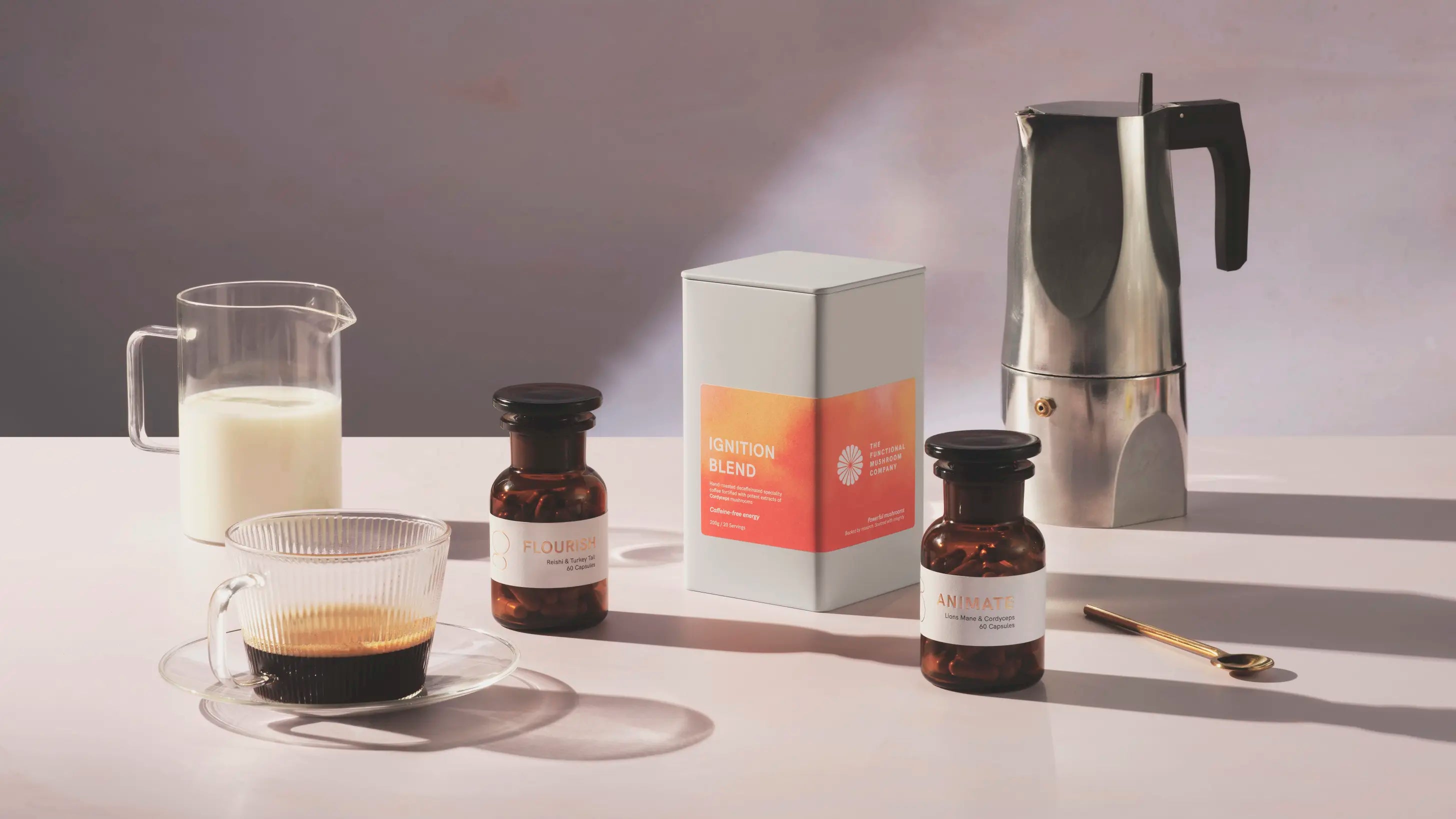 The functional mushroom company