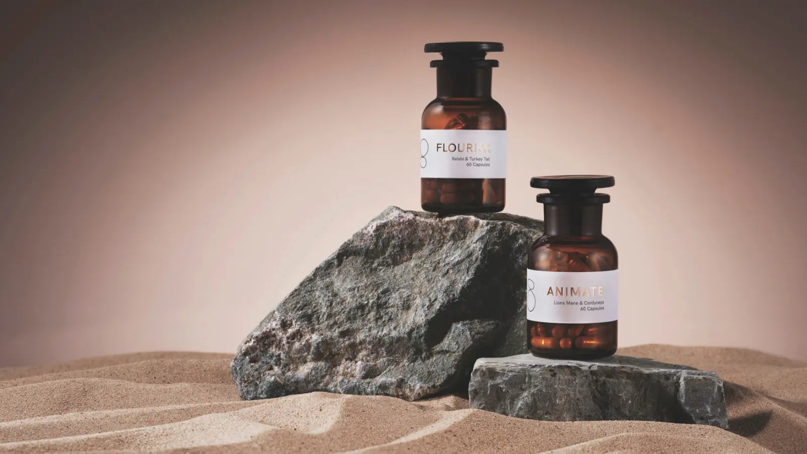 The functional mushroom company