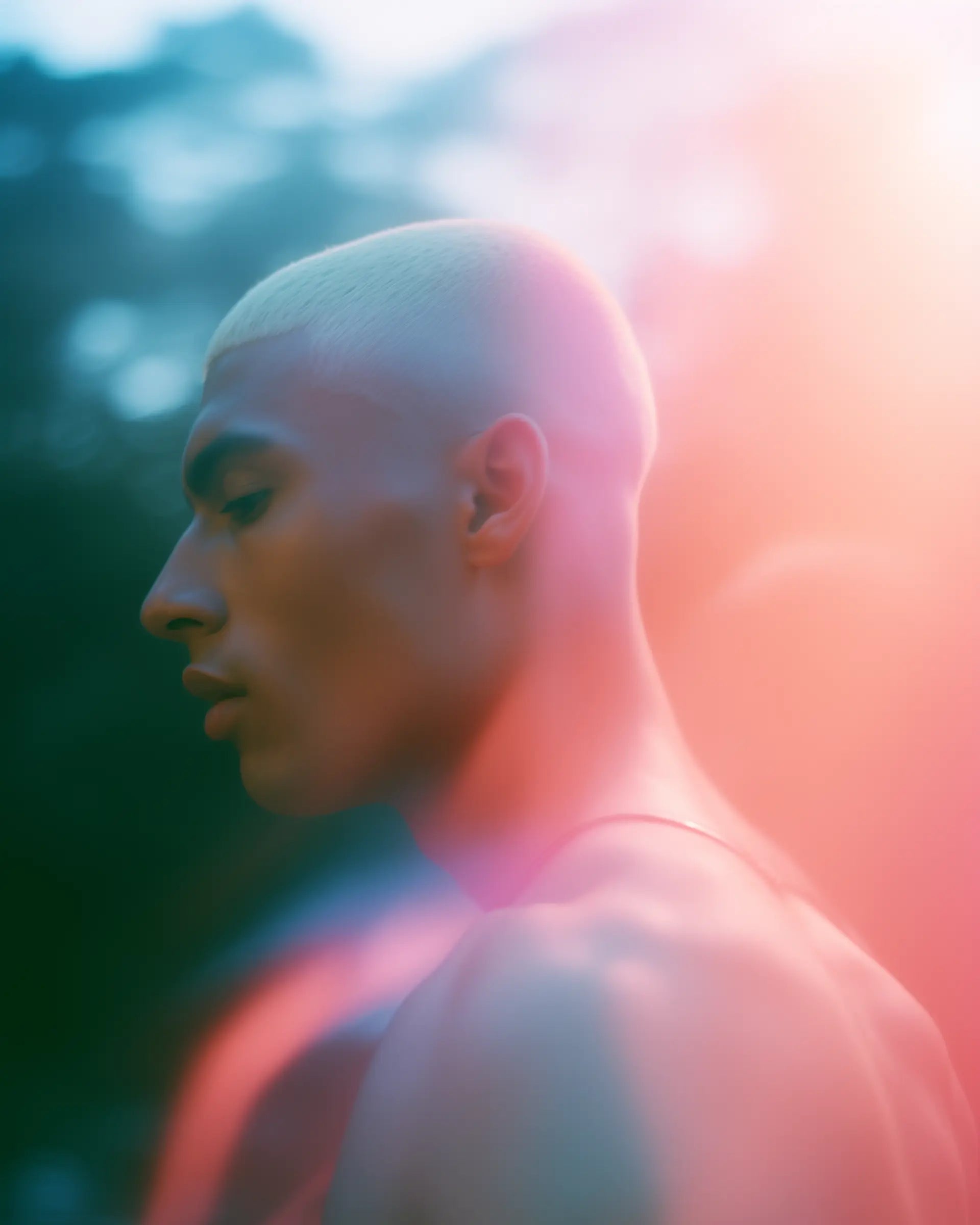 ANIMATE - Mental Focus & Physical Stamina The Functional Mushroom Company