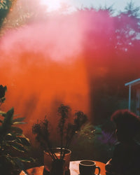 Caffeine-Free coffee The Functional Mushroom Company