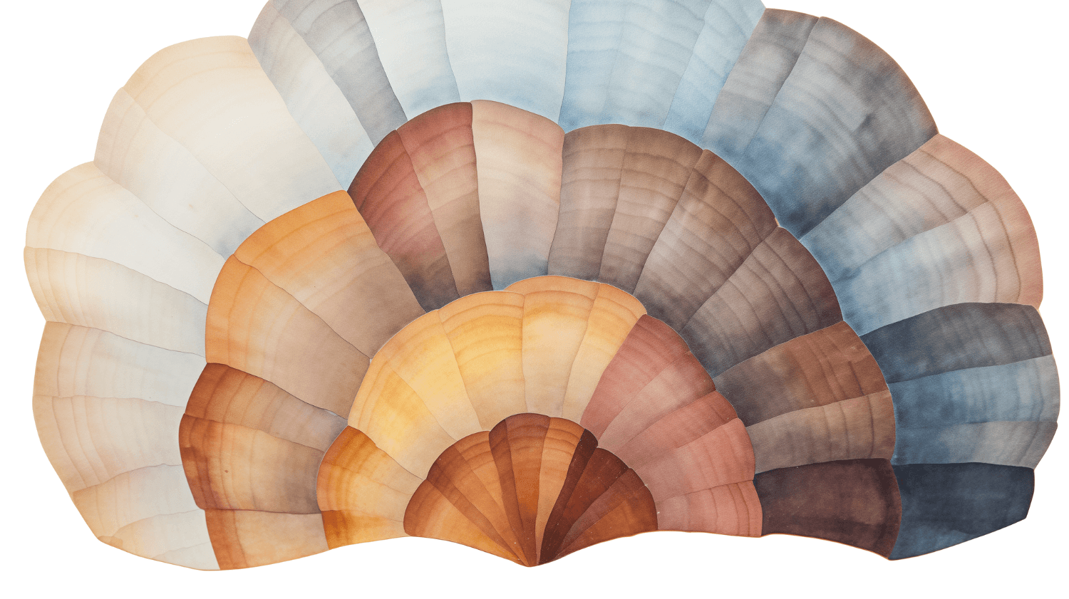 turkey tail watercolor