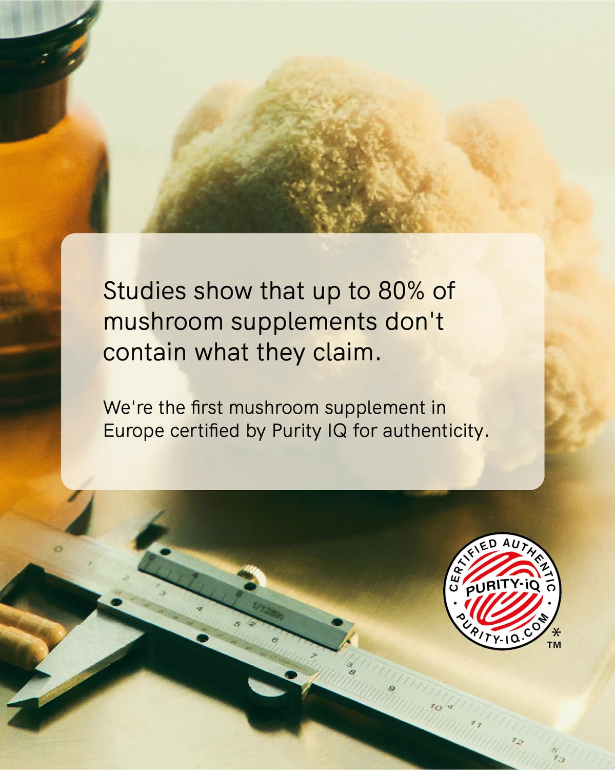 Animate | Focus • Energy • Mood