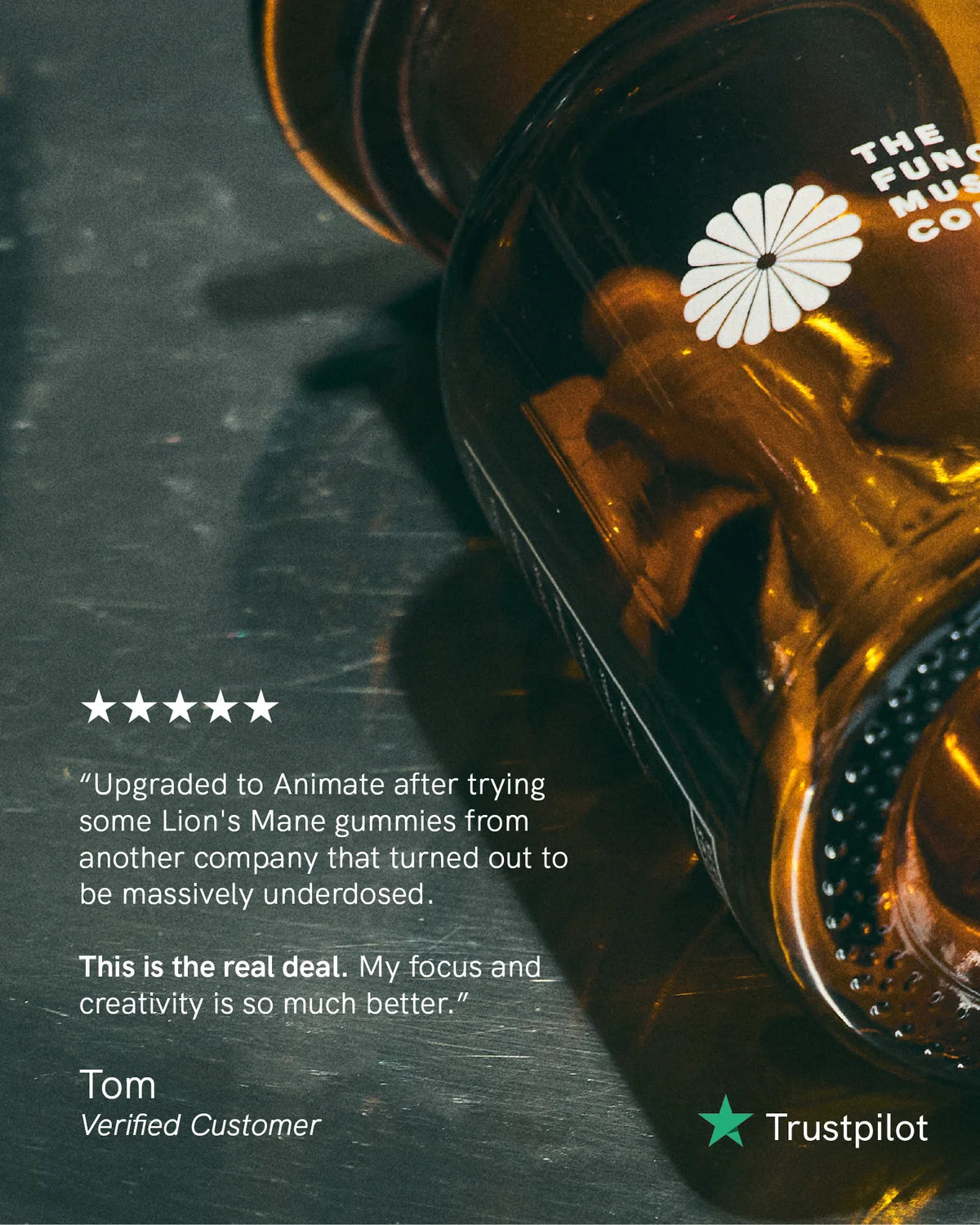 Animate | Focus • Energy • Mood