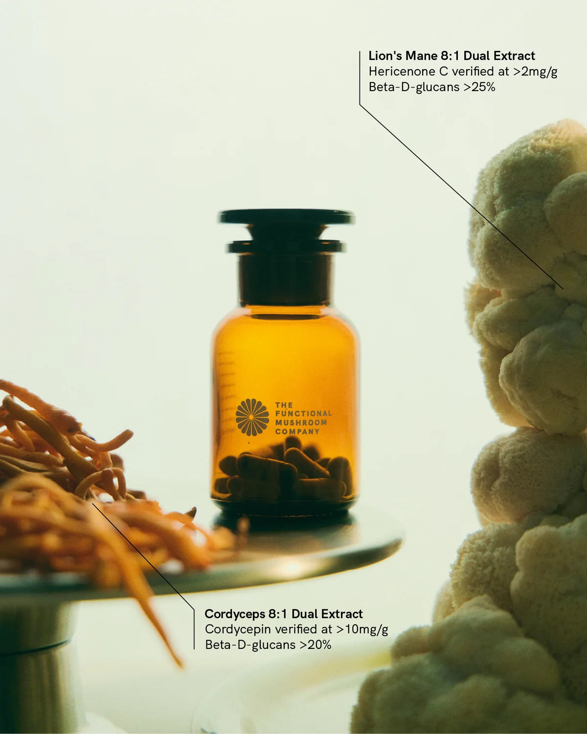 Bottle of Lion's Mane 8:1 Dual Extract with text on a neutral background