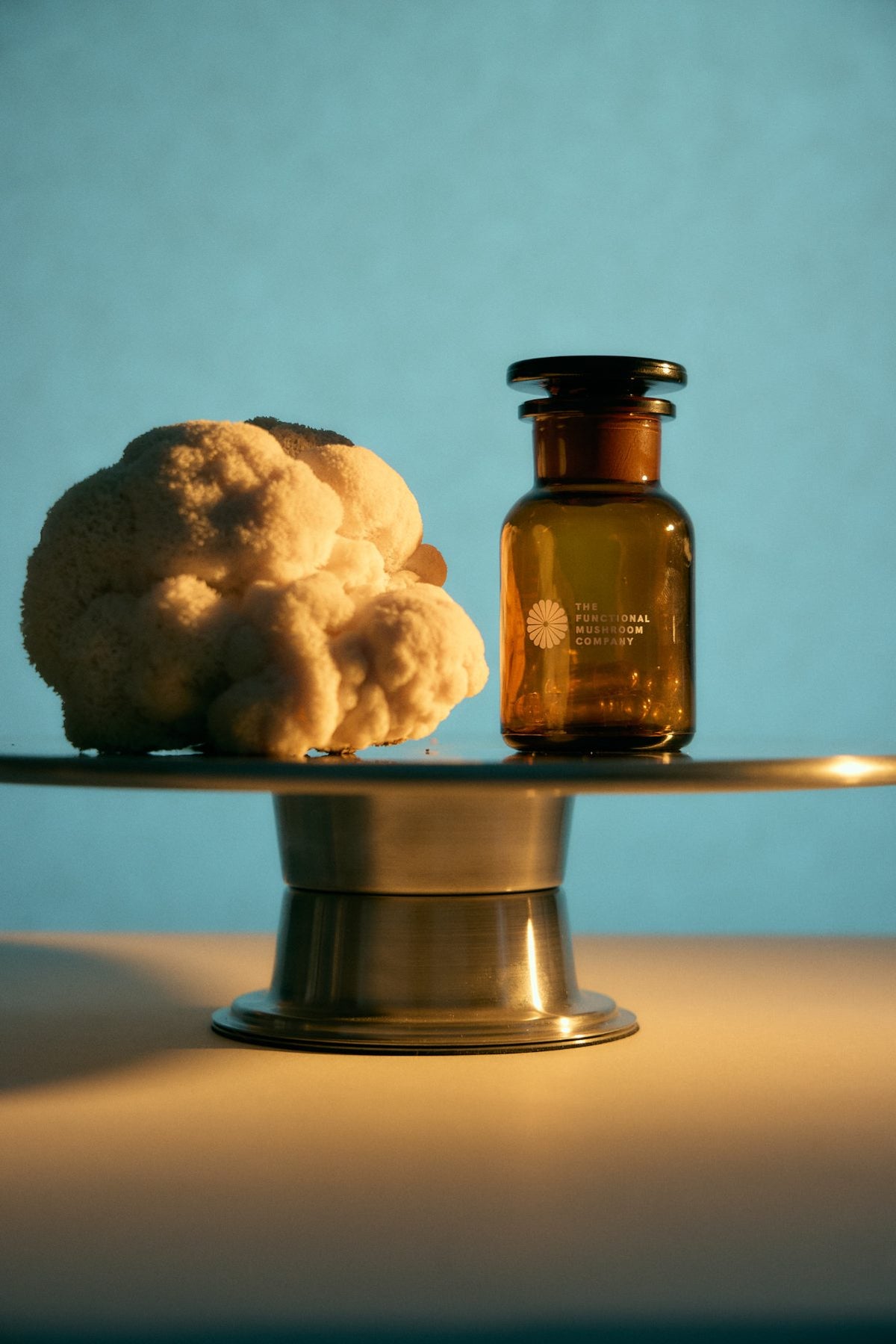 What functional mushrooms are — and what they aren’t.