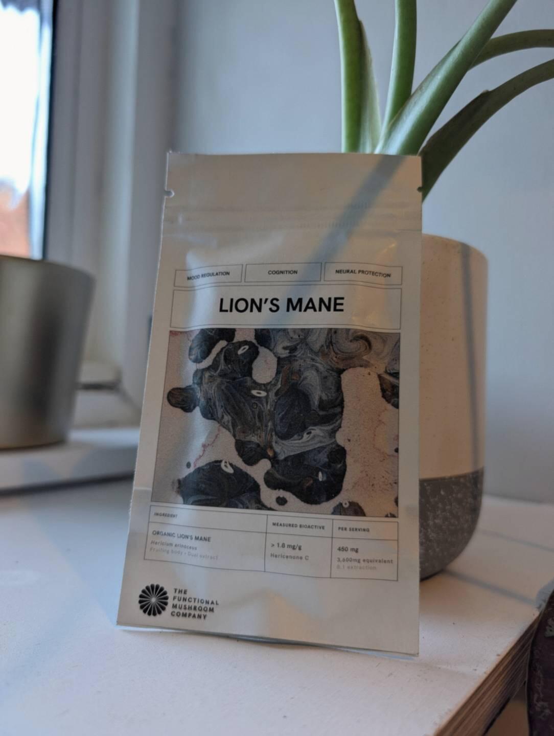 Lion’s Mane pouch in a plant pot by a window, photographed by Anil Gupta