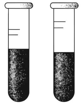 Two laboratory test tubes drawn in ink.