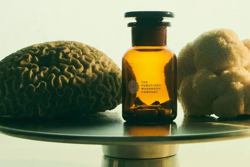 The Animate jar on a steel stand between two mushrooms.