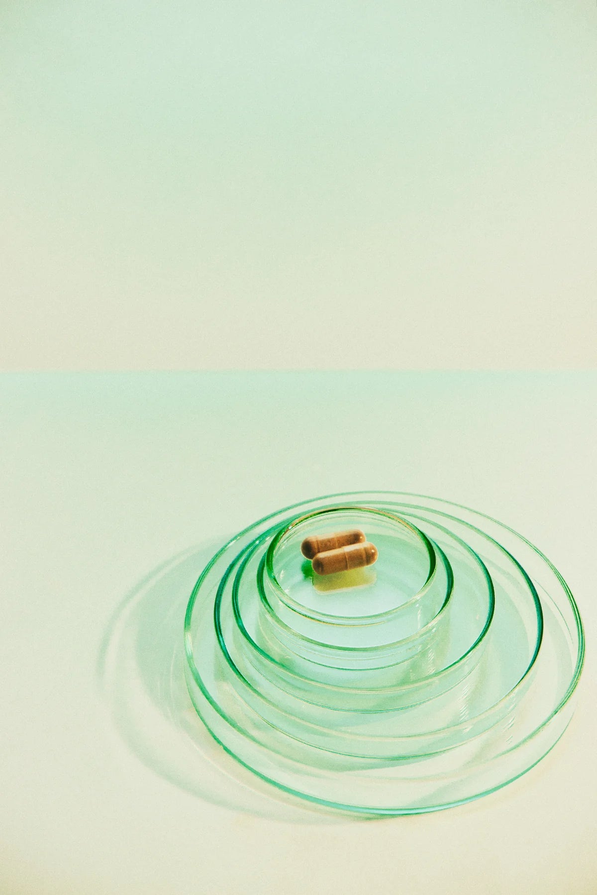 Animate capsules on stacked petri dishes